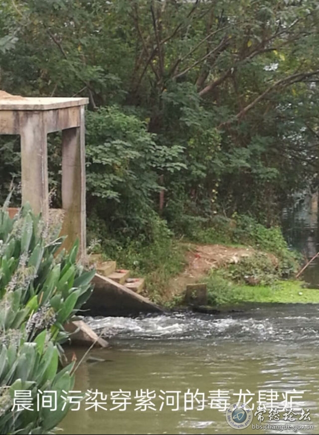 触屏版