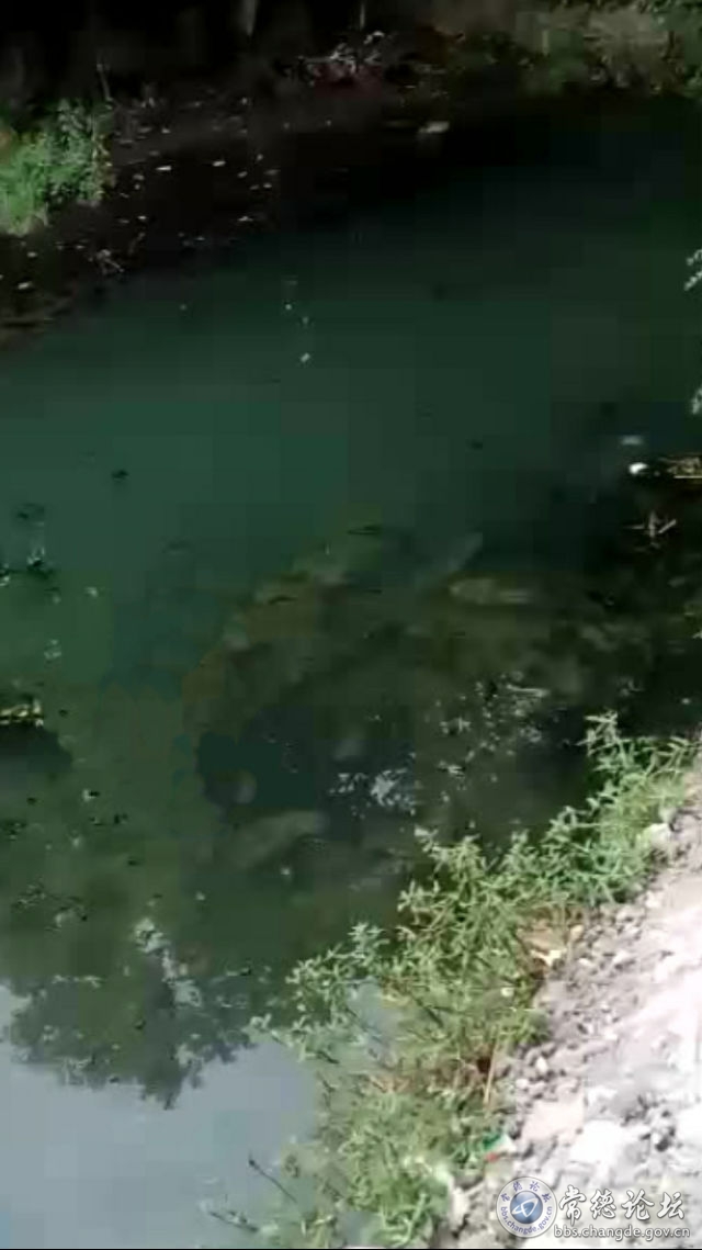 触屏版