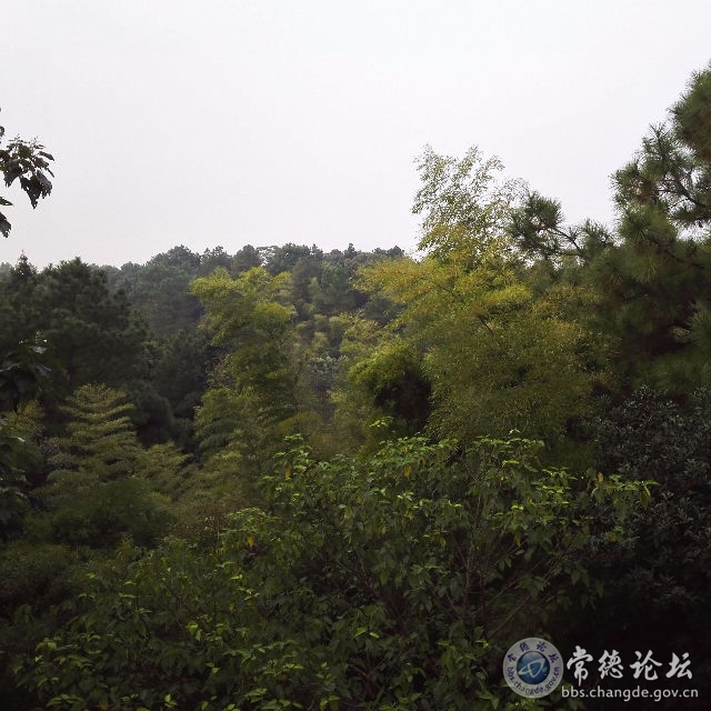 触屏版