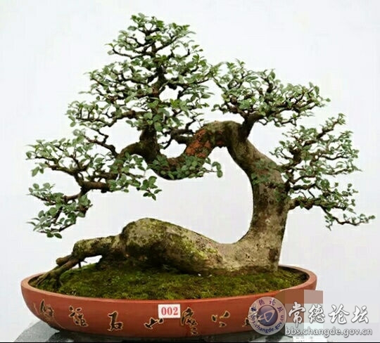 触屏版
