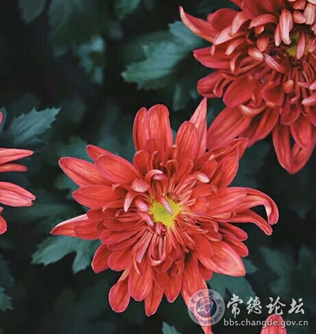 触屏版