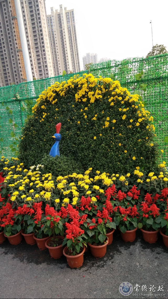 触屏版