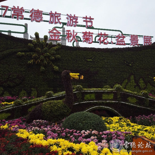 触屏版