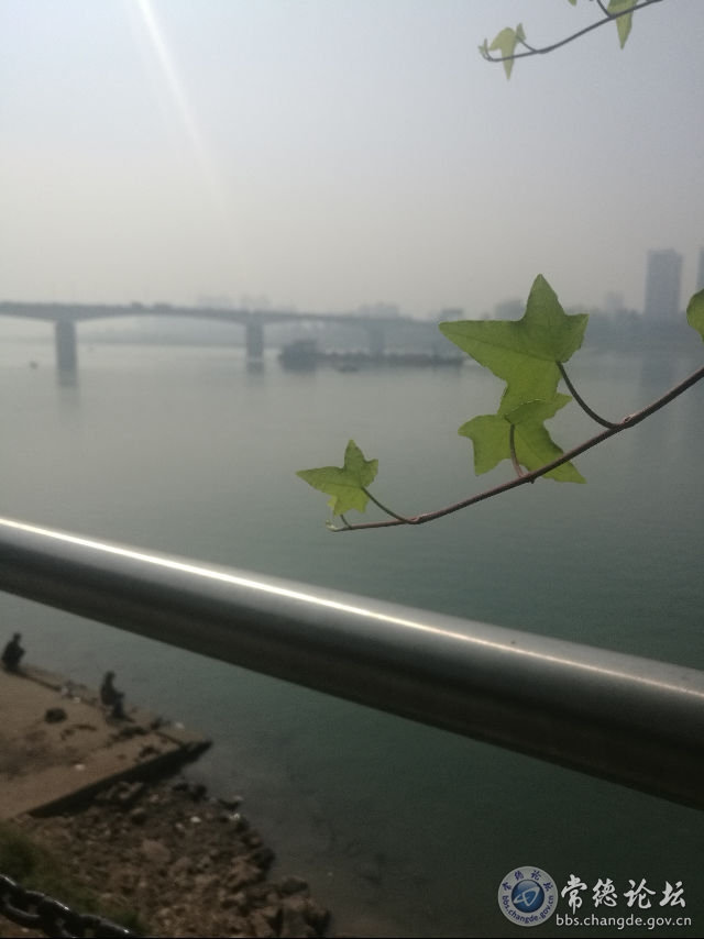 触屏版