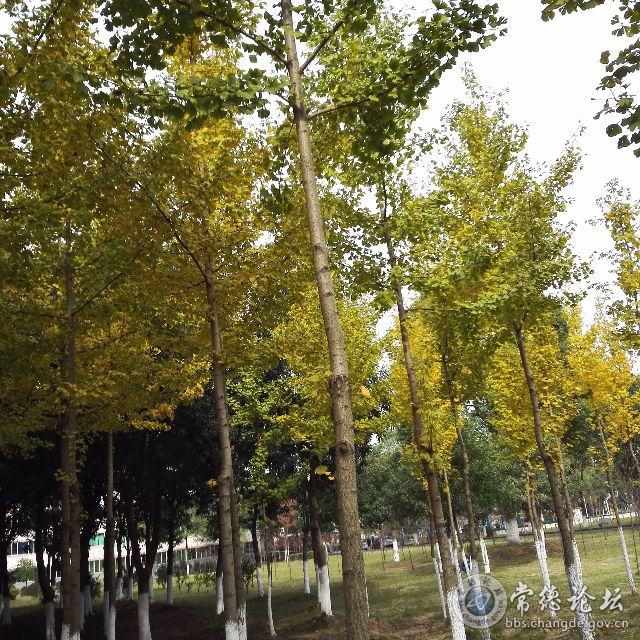 触屏版
