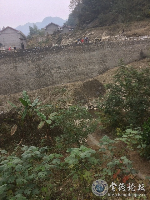 触屏版