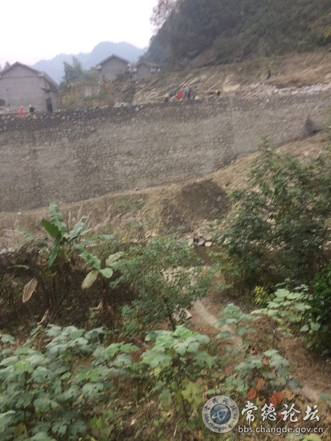触屏版