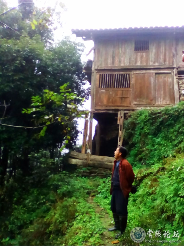 触屏版