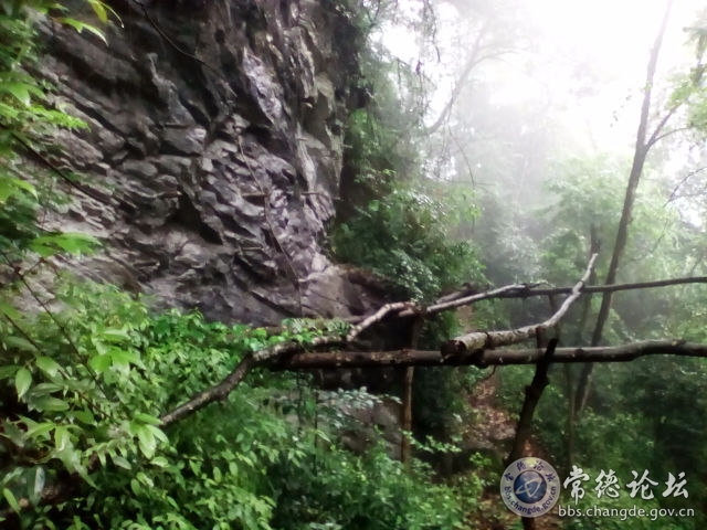 触屏版