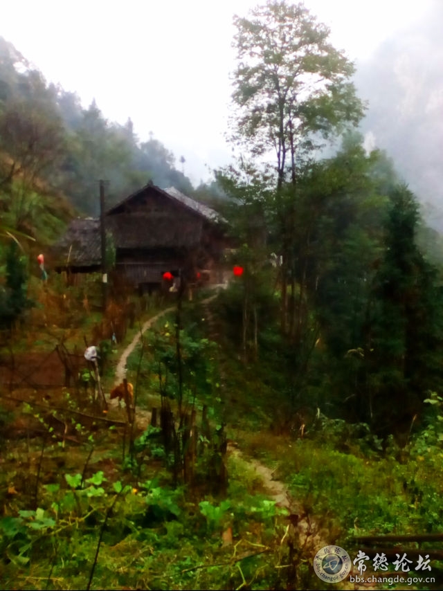触屏版