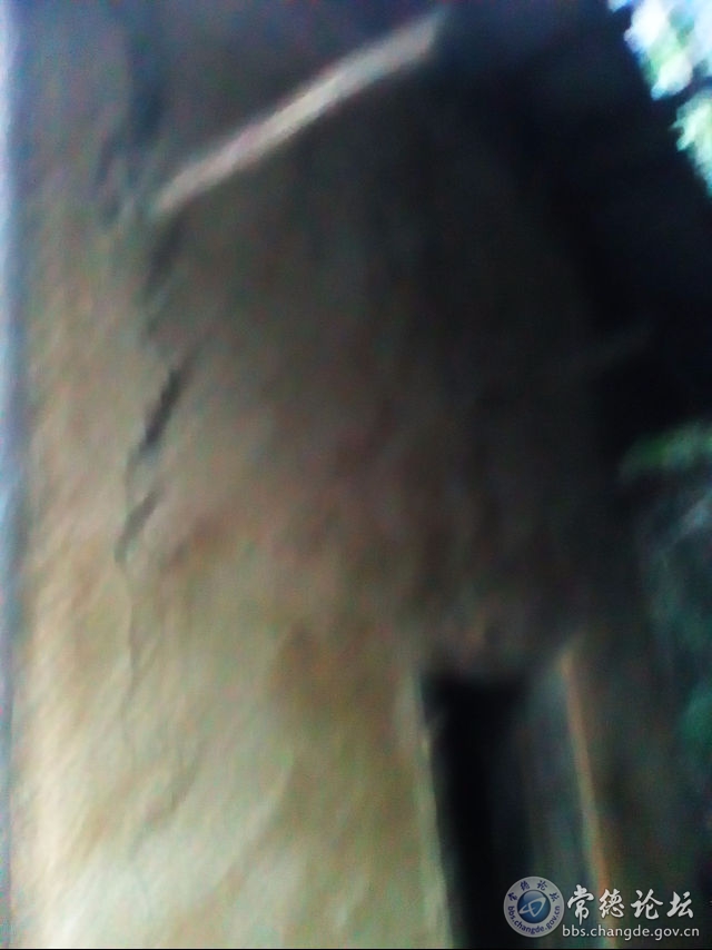 触屏版
