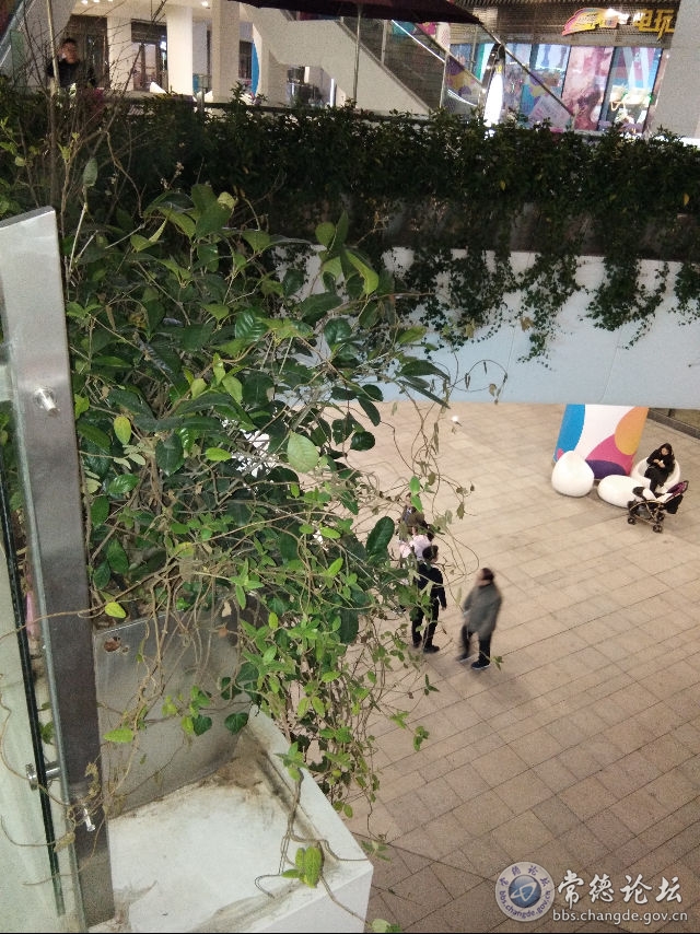 触屏版