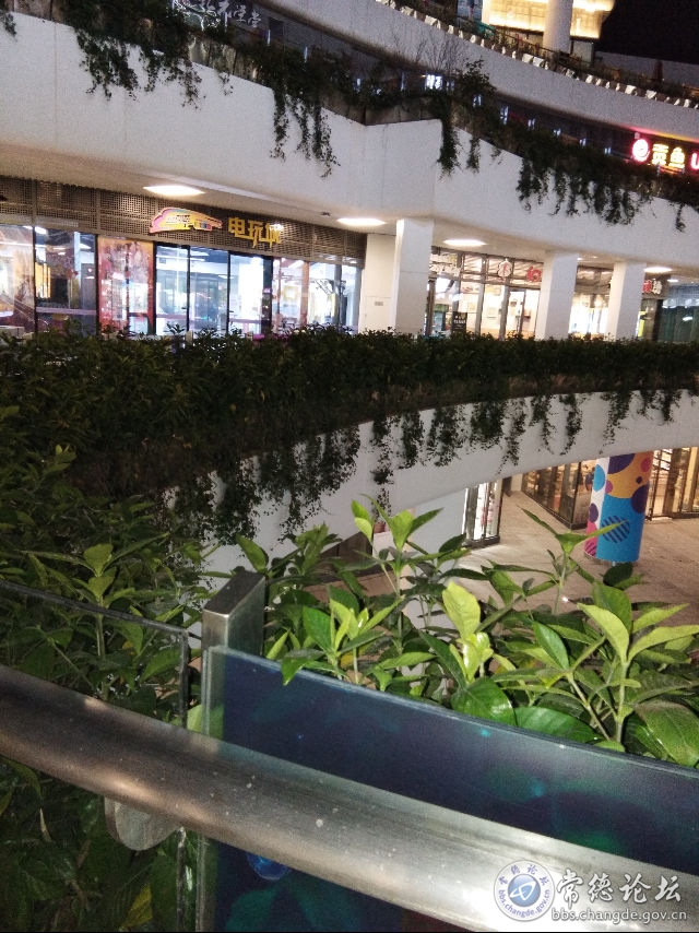 触屏版