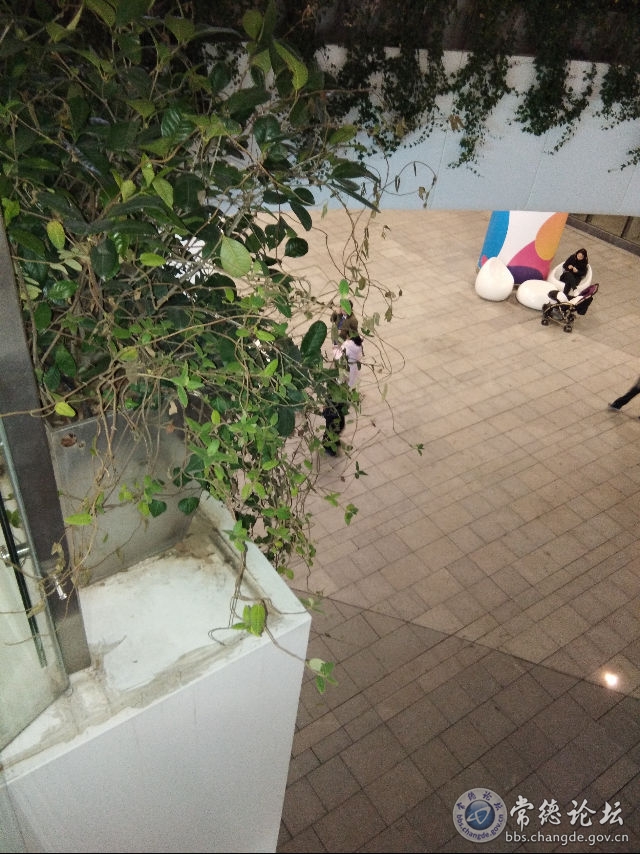 触屏版