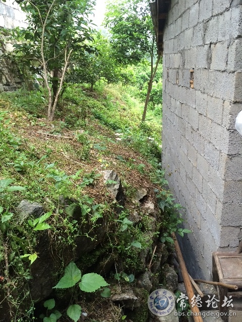 触屏版