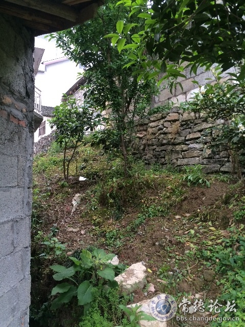 触屏版