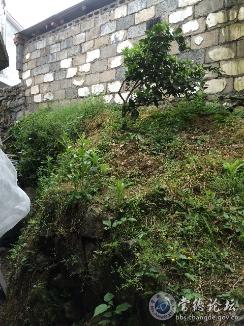 触屏版
