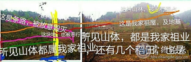 触屏版