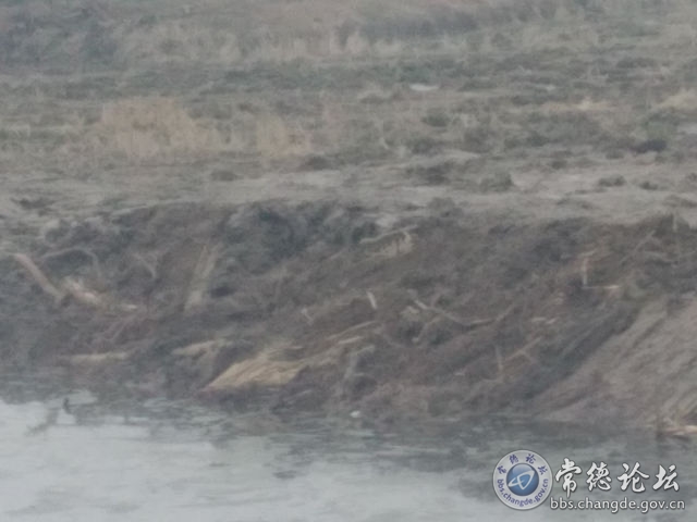 触屏版