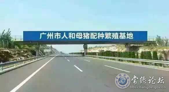 触屏版