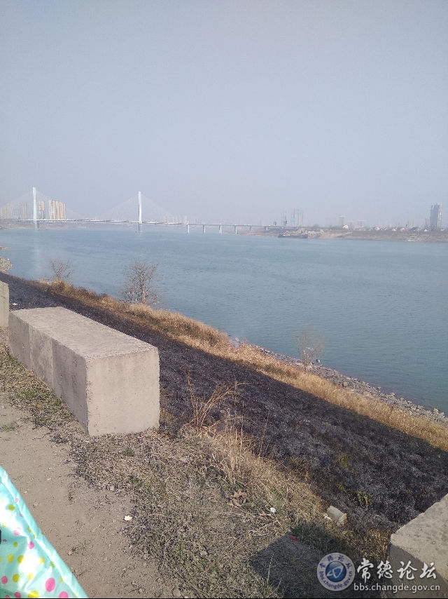 触屏版