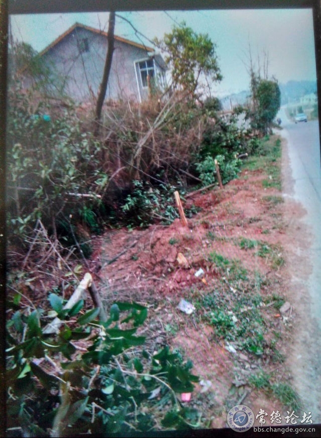 触屏版