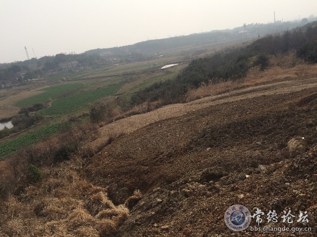 触屏版