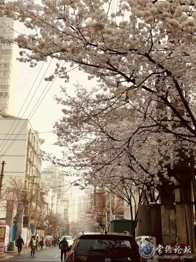 触屏版