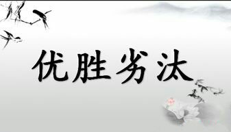 触屏版