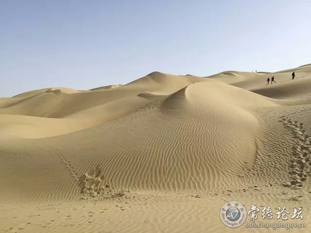 触屏版
