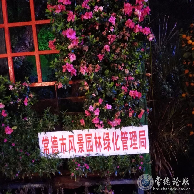 触屏版