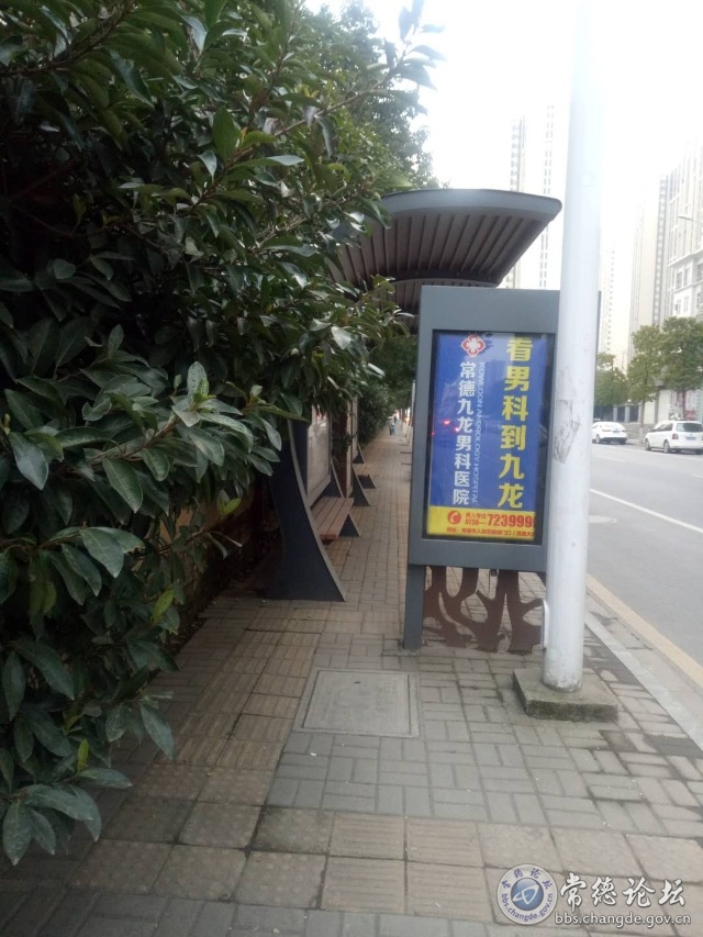触屏版
