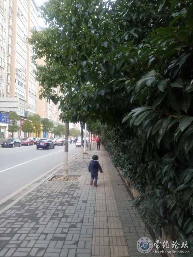 触屏版