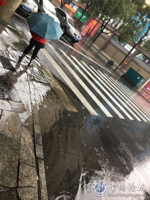 触屏版