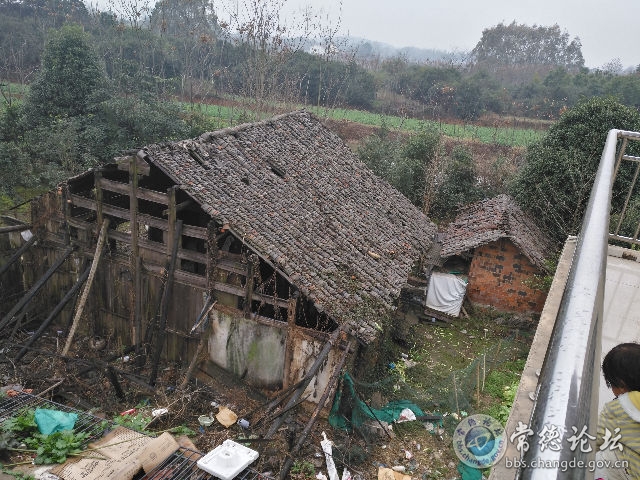触屏版