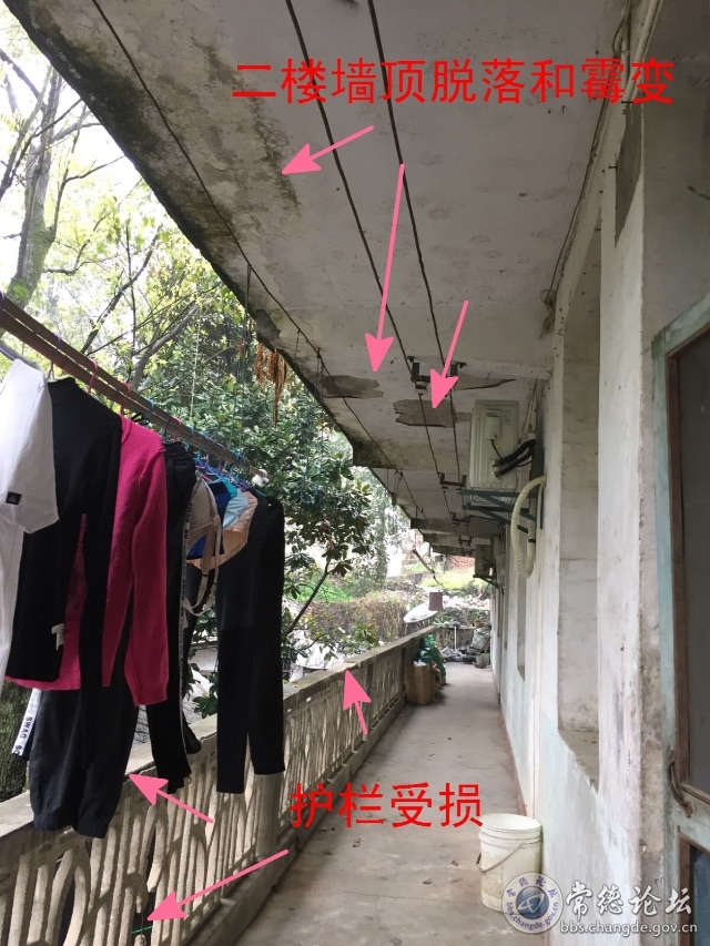触屏版