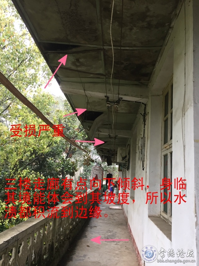 触屏版