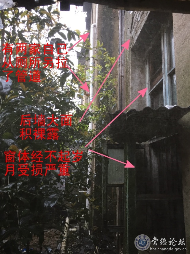 触屏版