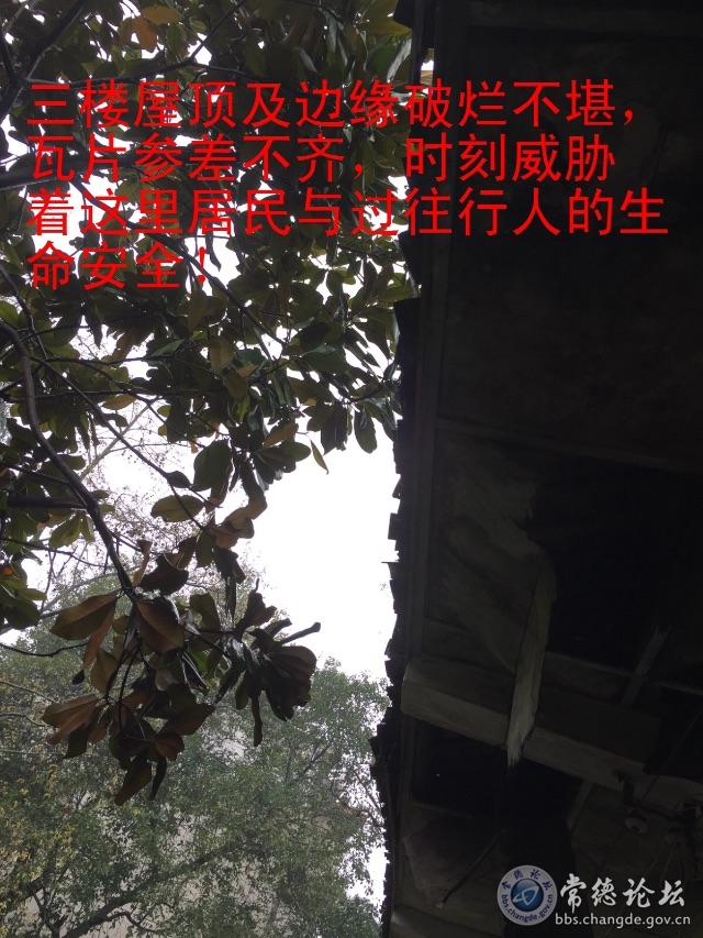 触屏版