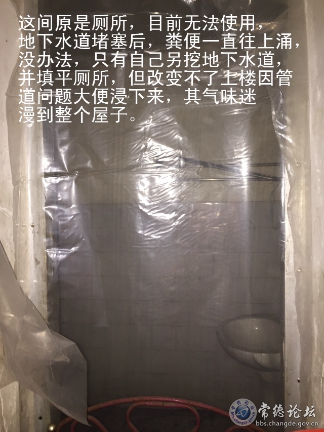 触屏版