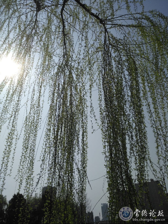 触屏版