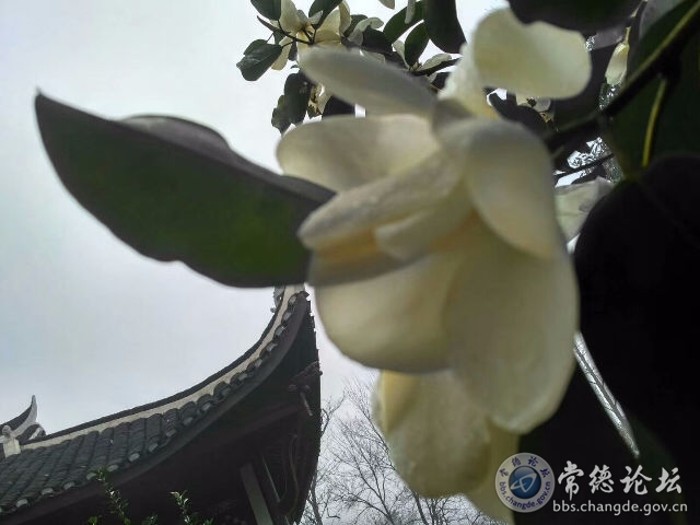 触屏版
