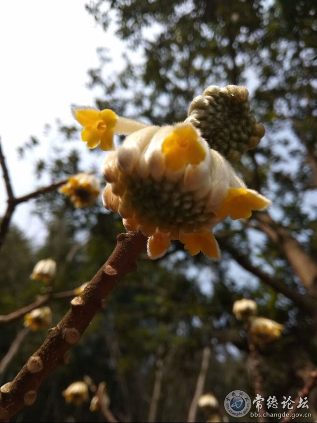 触屏版