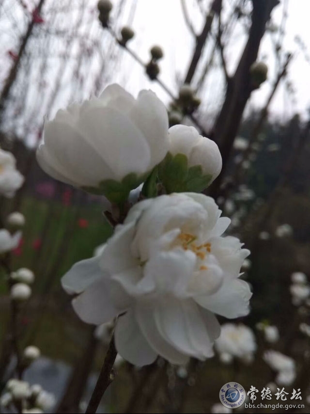 触屏版