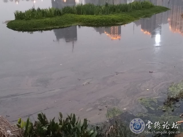触屏版