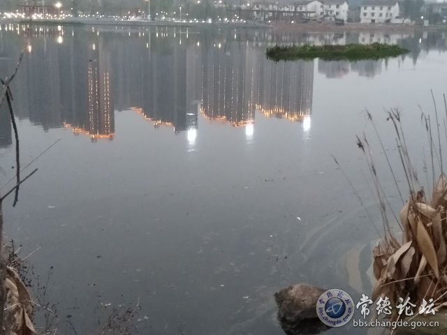 触屏版