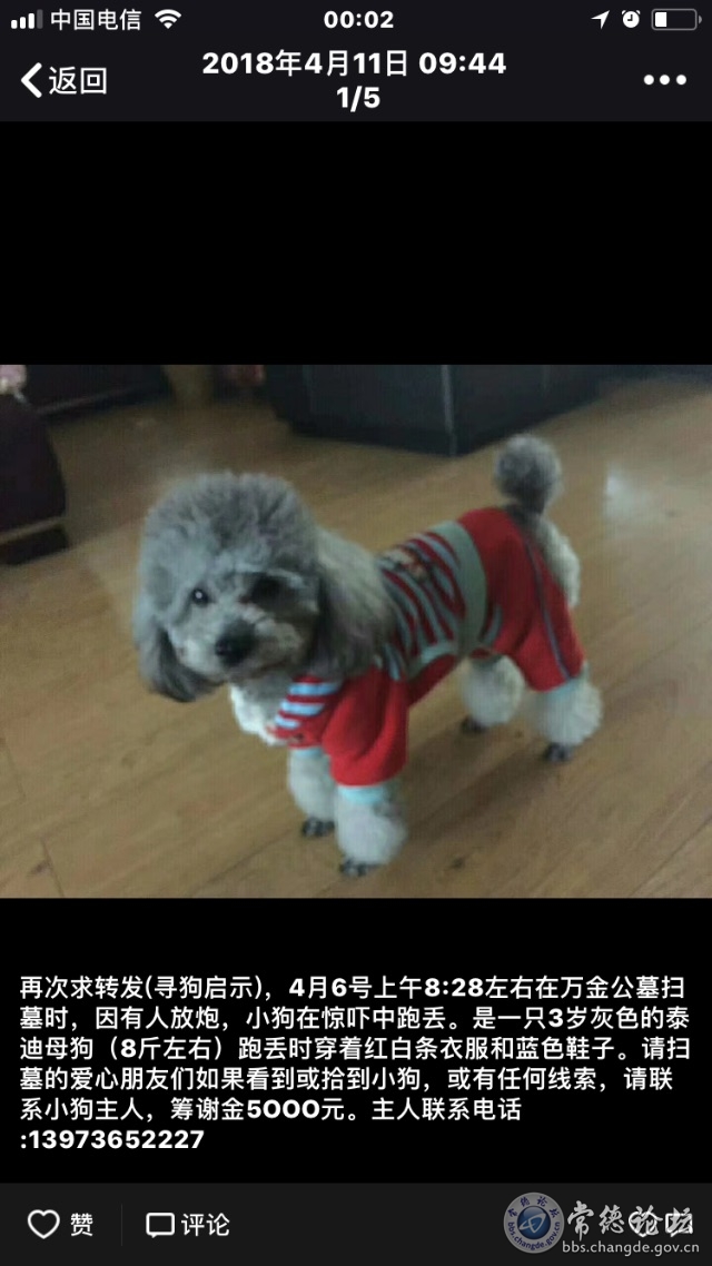 触屏版