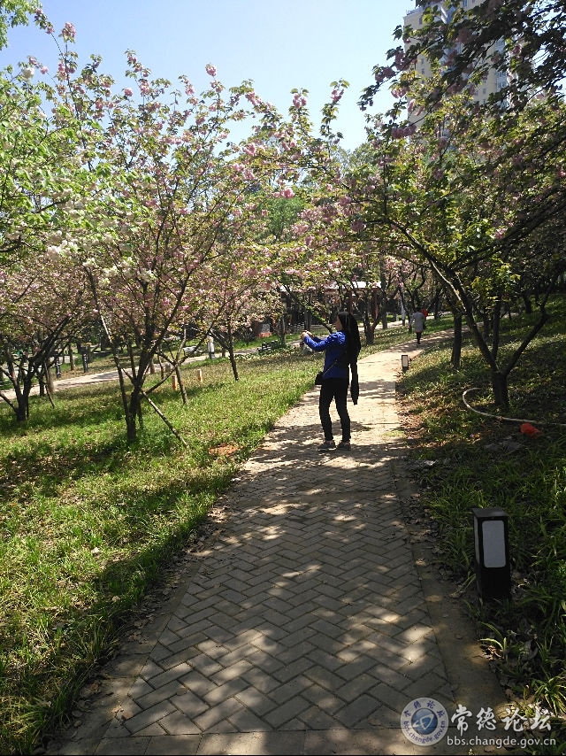 触屏版