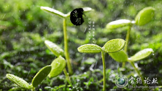 触屏版