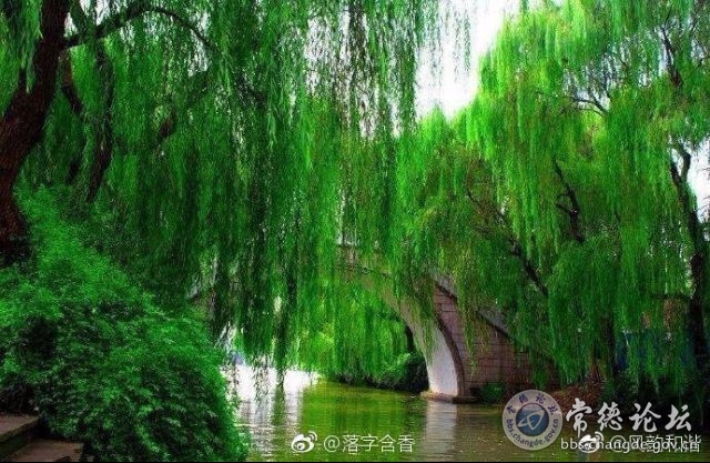 触屏版